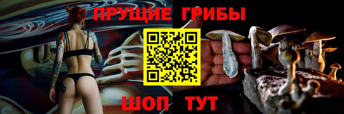 Псилоцибиновые грибы мухоморы  Вход с VPN  Псилоцибиновые грибы ЛСД  Елабуга 